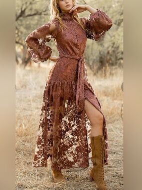 JOYFOLIE Bellana Dress in Rosette Romantic Embroidered Mesh Maxi Dress Size XXS